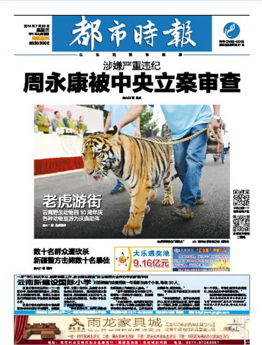 比亚迪新闻：2026年全球新能源车市场新格局中的中国品牌突围
