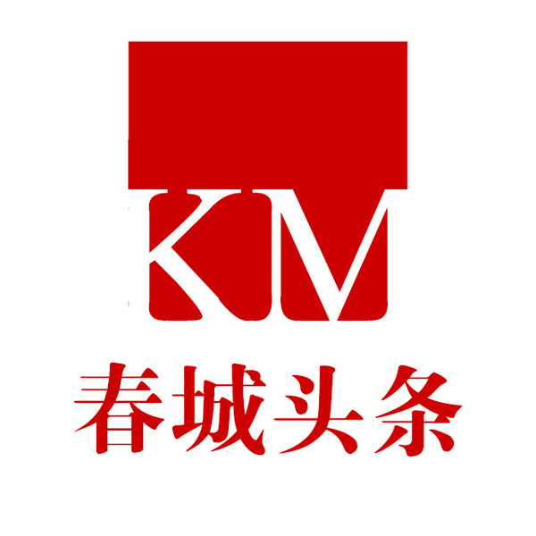 深圳市新闻网：城市脉搏的记录者与传递者